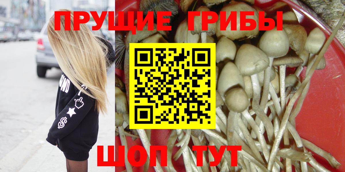 Псилоцибиновые грибы мицелий Ухта