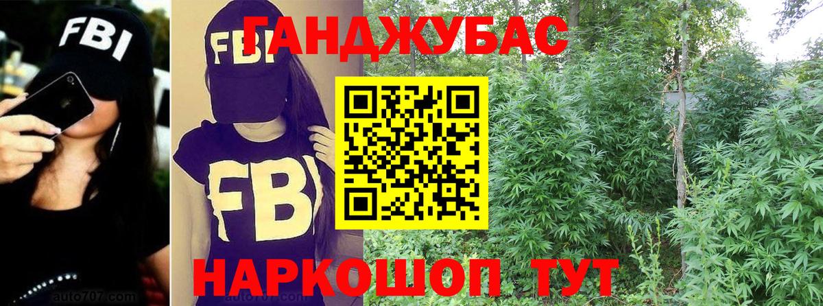 Конопля гибрид Ухта